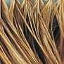 How to Stop Hair Loss and Boost Regrowth